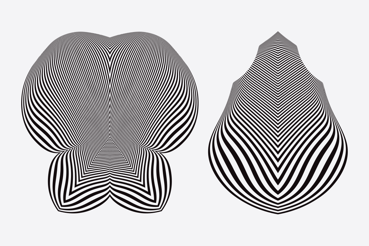 75 Warped Vectors, an Object Graphic by Texture Fabrik (Photo 13 of 14)