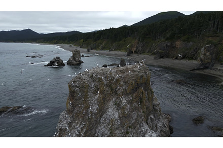 Top view of flying seagulls on rocky, a Nature Photo by Media Whale Stock