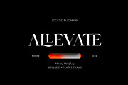 Sericate - Ligature Font, a Serif Font by Mulkan Nazir (Thumbnail 8 of 19)