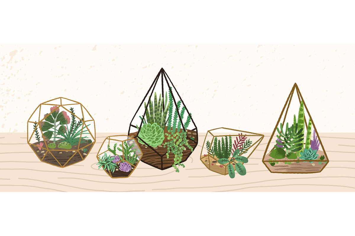 Florarium composition, a Decorative Illustration by Good Studio (Photo 1 of 3)