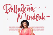 Selynadia Bold Brush Font, a Script Font by stylishtype.co (Thumbnail 11 of 20)