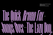 Pierknife | Ultra Condensed Sans, a Sans Serif Font by Jolicia Type (Thumbnail 4 of 14)