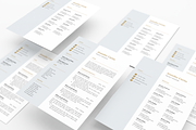 Clean Resume Template, a Resume Template by GraphicFlava (Thumbnail 8 of 8)