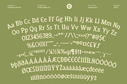 CS Rhesa Drawn, a Serif Font by Craft Supply Co. (Thumbnail 8 of 8)