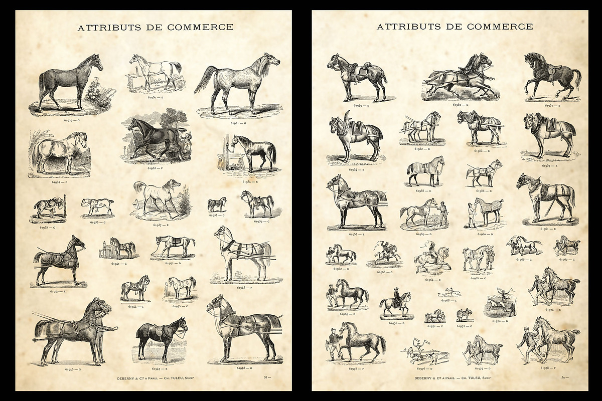 Horses / Vintage engravings preview 2