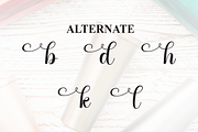 Tumbler | Script Font, a Handwritten Font by Scratchones (Thumbnail 8 of 9)