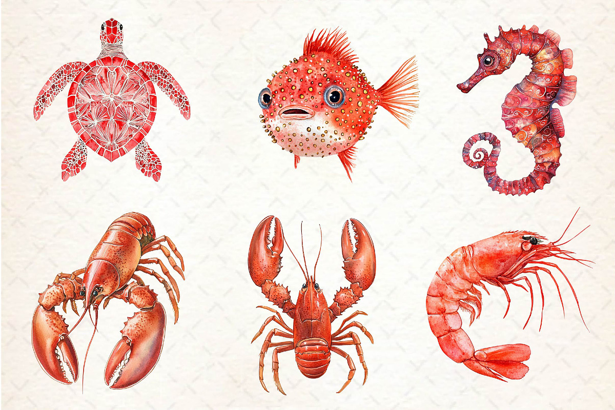 Red Ocean Animals Clipart, an Illustration by Dream Creation (Photo 6 of 6)