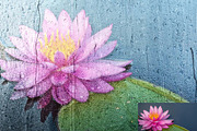 Wet Glass Overlay Photoshop Action, an Action Add-On by Studio Retouch (Thumbnail 3 of 11)
