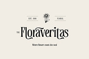 Timothy Robinson, a Serif Font by Cruzine (Thumbnail 3 of 8)