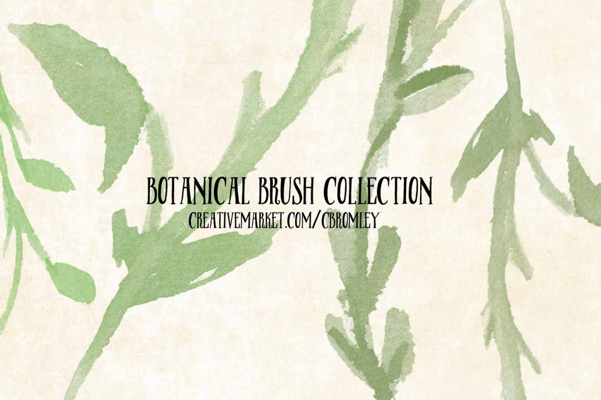 Botanical Brush Collection, a Brush Add-On by Chelsea Bromley (Photo 4 of 4)