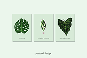 Tropical Leaves Drawing Set, a Decorative Illustration by elpple (Thumbnail 6 of 6)