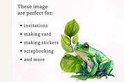 Watercolour Cute Frogs, an Animal Illustration by TimCanvaTemplate (Thumbnail 4 of 4)