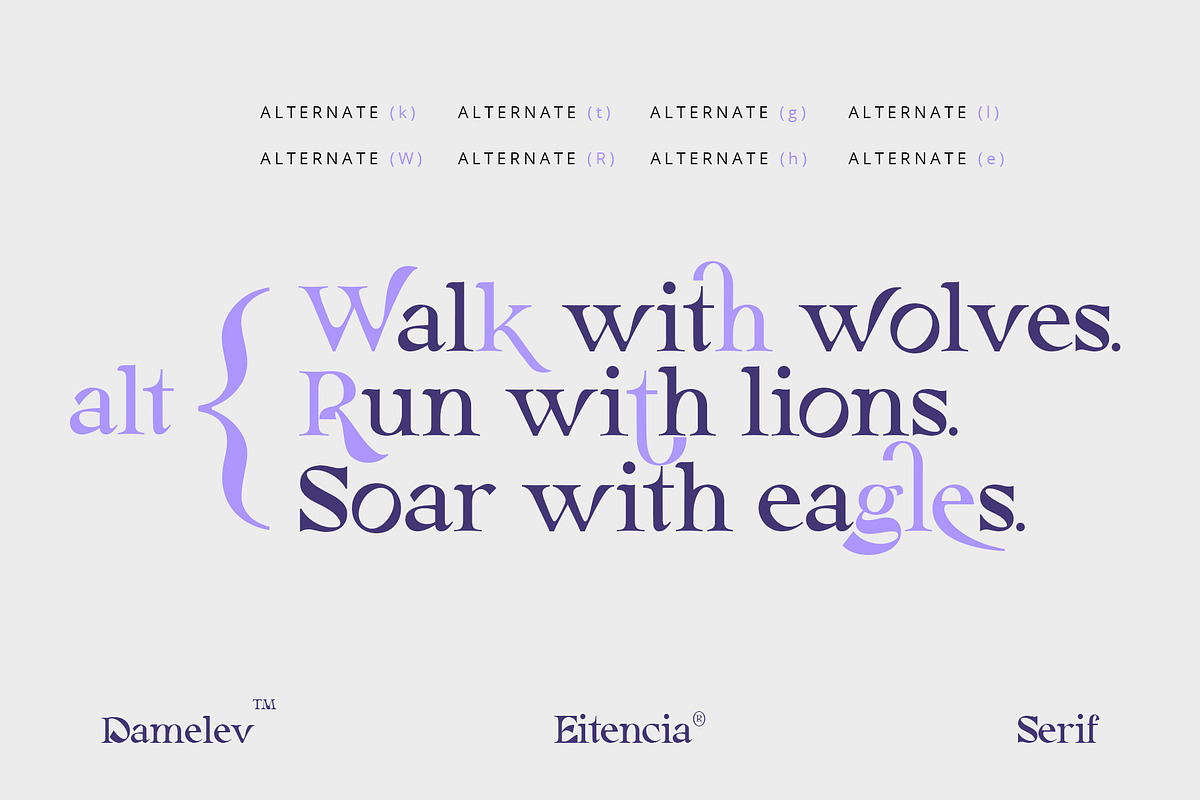 Eitencia, a Serif Font by Damelev (Photo 8 of 12)