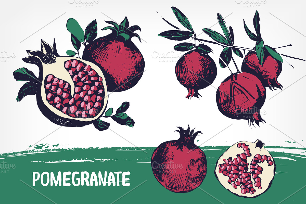 Pomegranates, hand-drawn set, a Decorative Illustration by Good Studio (Photo 1 of 5)
