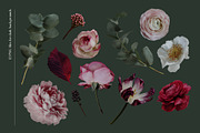 Isolated real flowers clipart set, an Object Graphic by The Graphic Parade (Thumbnail 5 of 14)