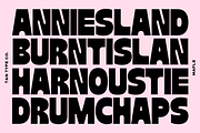 TAN - MAPLE, a Font by TanType (Thumbnail 7 of 11)