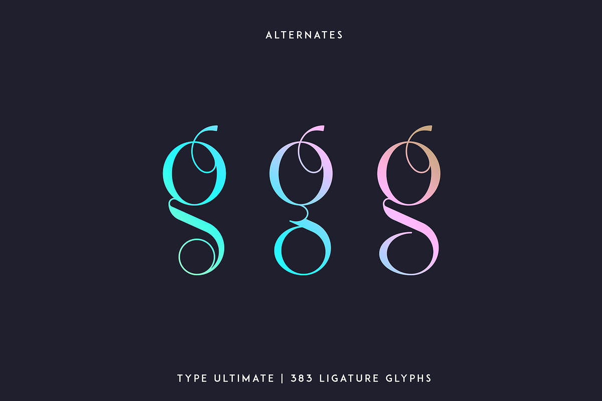 Type Ultimate - serif logo font, a Serif Font by VP Fonts (Photo 13 of 24)