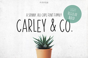 Skinny Font Family Carley & Co.