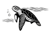 50 Sea Turtle Vector Silhouette Bund, an Illustration by jahid234 (Thumbnail 28 of 51)