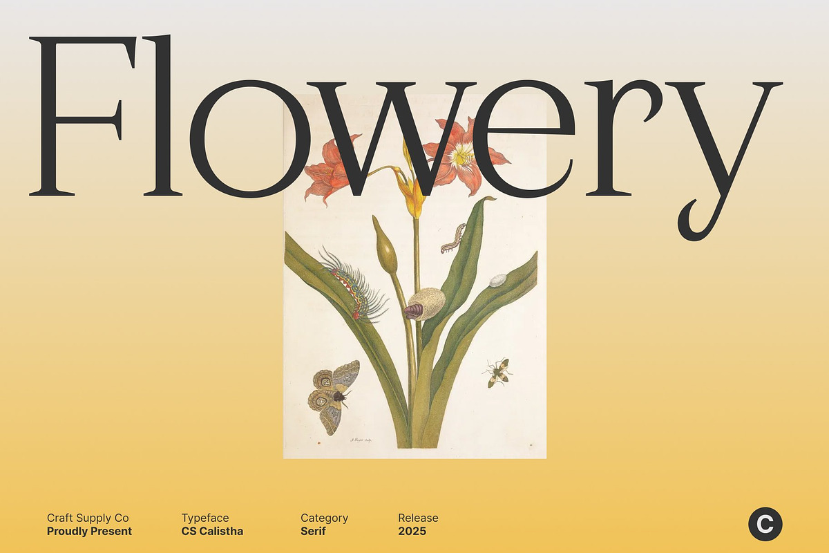 CS Calistha – Elegant Serif Font, a Serif Font by Craft Supply Co. (Photo 6 of 8)