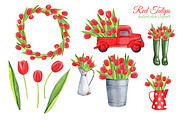 Red tulips watercolor clipart, an Illustration by s.yanyeva (Thumbnail 2 of 4)
