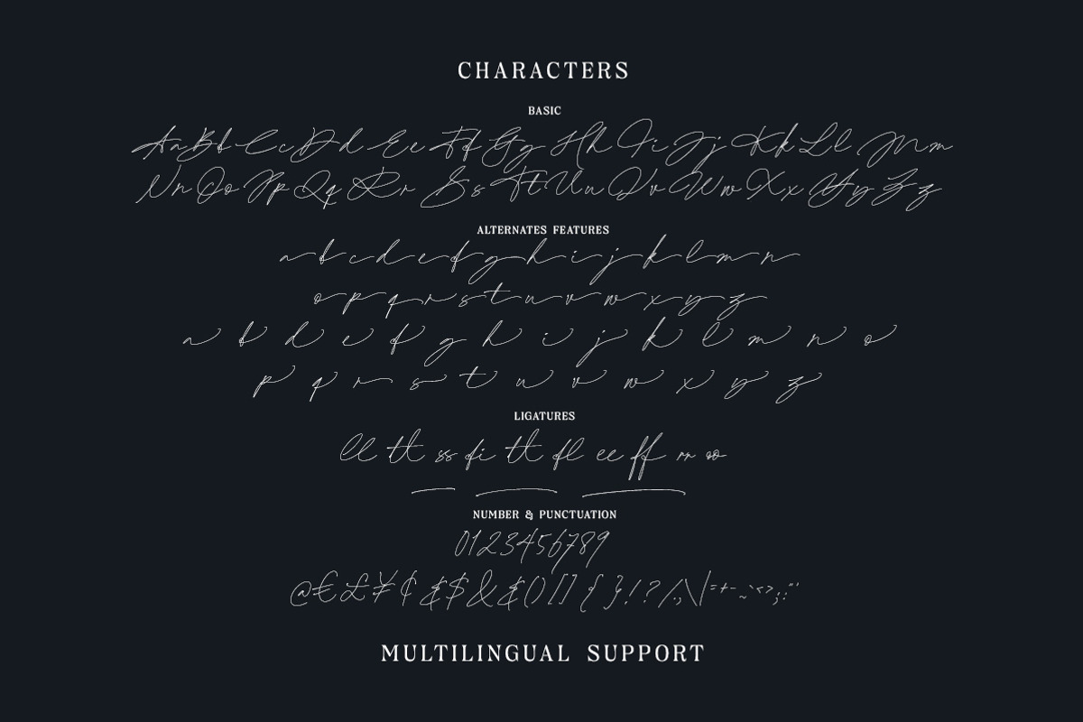 Sheila King - Signature Script, a Script Font by Letterhend Studio (Photo 6 of 9)