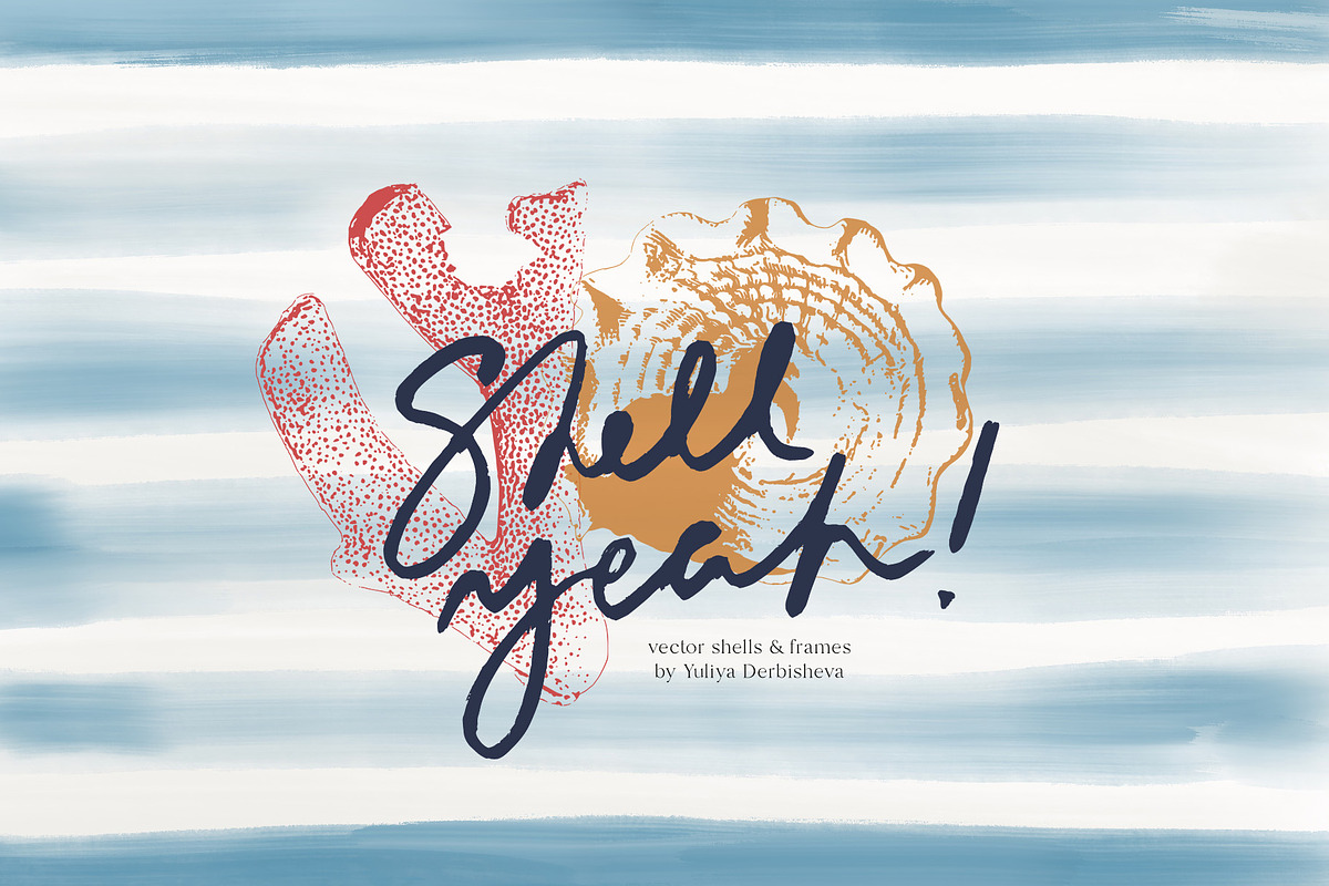 Seashells vector illustrations frame, an Object Graphic by Yuliya Derbisheva (Photo 13 of 13)