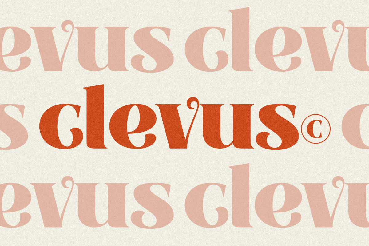 VinPoiré - Vintage font, a Serif Font by ClevUs (Photo 12 of 12)