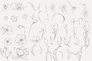 Procreate Phoenix stamps with flower, a Brush Add-On by AnnaPolitmerskaja (Thumbnail 2 of 5)