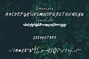 Meadowlark Script Font, a Script Font by Midnight Grim (Thumbnail 2 of 5)