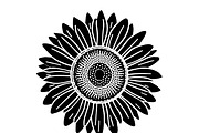 Floral Flower Vector Collection, an Illustration by Designer_Momina (Thumbnail 4 of 9)