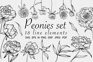 Peonies SVG