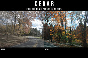 DJI OSMO | CEDAR LUT PACK, a Layer Style Add-On by Josh Zaring Studios (Thumbnail 6 of 6)