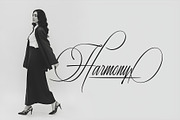 Risemotion Signature Font, a Script Font by Lemonthe (Thumbnail 3 of 12)