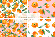 Watercolor Mandarin Fruits Vol. 1, a Food Illustration by Olga Begak Art & Design (Thumbnail 4 of 10)