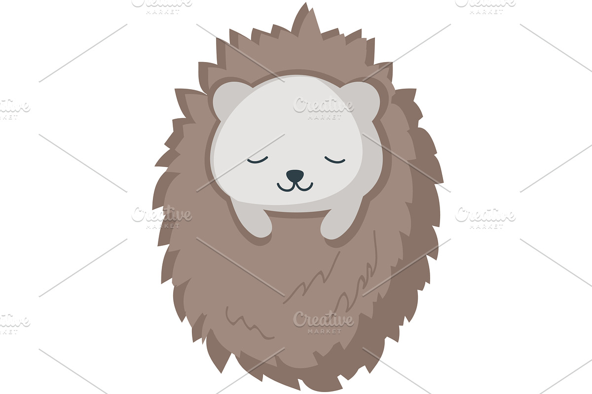 Sleeping hedgehog vector cute, an Animal Illustration by SiberianArt