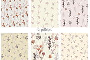 Watercolor dried plants,seed pods., an Illustration by yulia.sukhanova (Thumbnail 3 of 5)
