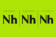 Mizhon | 36 Fonts, a Serif Font by Skinny Type (Thumbnail 6 of 15)