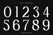 Serelia Serif Family | Intro 60% OFF, a Serif Font by Lettertype Studio (Thumbnail 12 of 17)