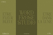 Frieren La Belle | Modern Serif, a Serif Font by Denustudios (Thumbnail 6 of 13)