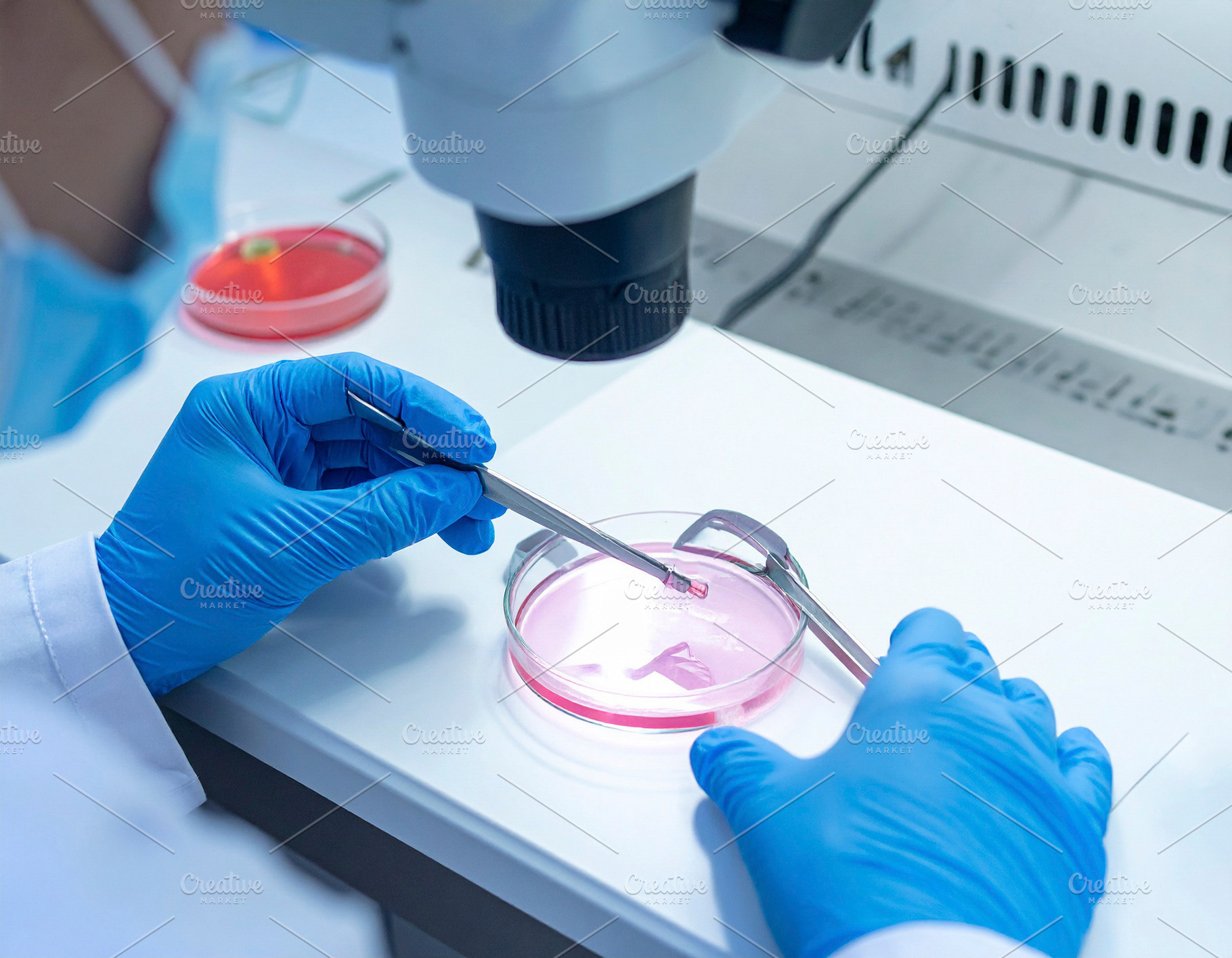 Fertility lab with a scientist handling a petri dish under a mic, a Health & Medical Photo by DanFLCreativo