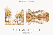 Autumn Forest, a Seasonal Illustration by PeDe Designs (Thumbnail 7 of 7)
