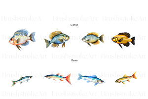 Tropical Fish Clipart, Betta, Guppy