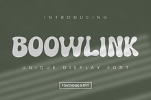 Boowlink - Unique Display Font
