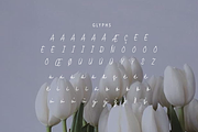 Lamelan, a Script Font by GlottaTypeface (Thumbnail 6 of 8)