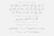 Phaley Signature Script Font, a Script Font by Typebae (Thumbnail 7 of 8)
