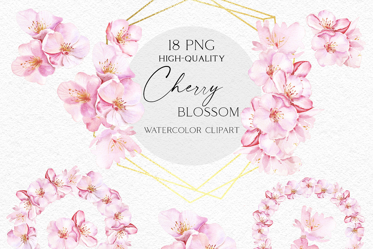Tender Cherry Blossom, an Illustration by Olga Koelsch (Photo 6 of 8)