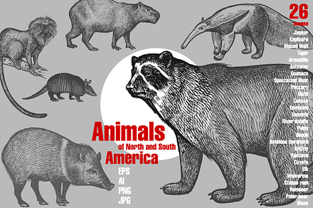 Animals of North and South America.