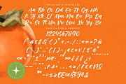 Starfall Nights New Modern Handbrush, a Script Font by stylishtype.co (Thumbnail 18 of 20)