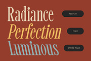 CS Benson – Classic Font, a Serif Font by Craft Supply Co. (Thumbnail 7 of 8)